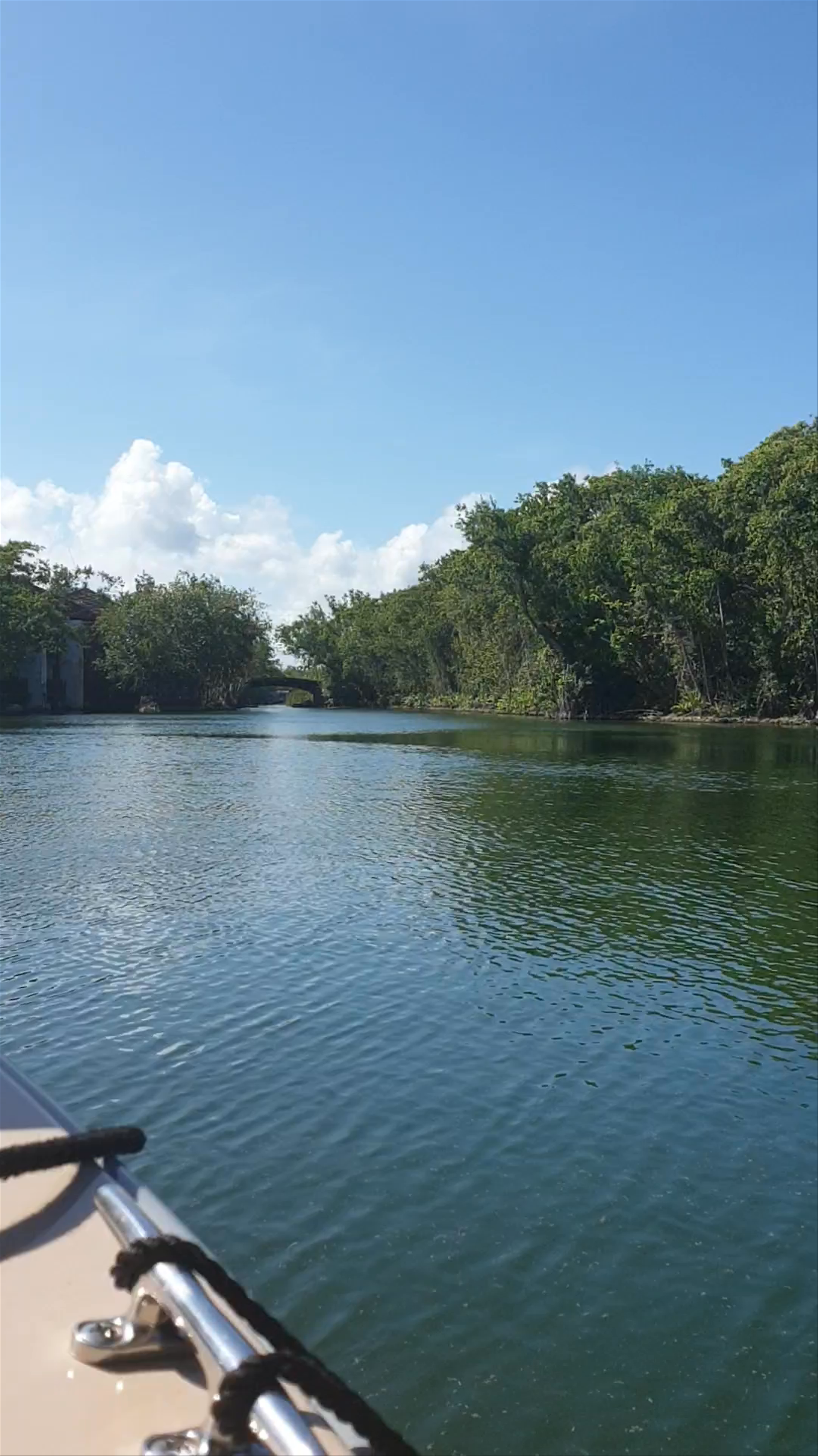 Serene Boat Ride Through Banyan Tree Mayakoba Canals