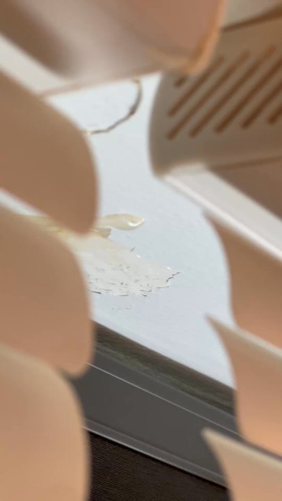 UIP Property Management - ROOF LEAKING INTO MY APARTMENT! - Property Management Near Me - Washington, DC, District of Columbia
