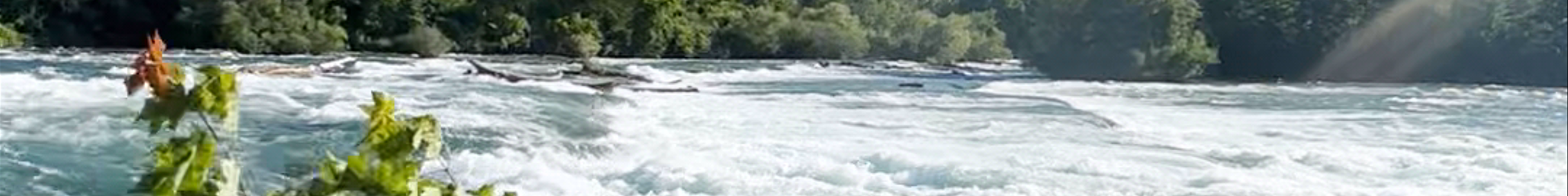 Tours & experiences in Niagara Falls