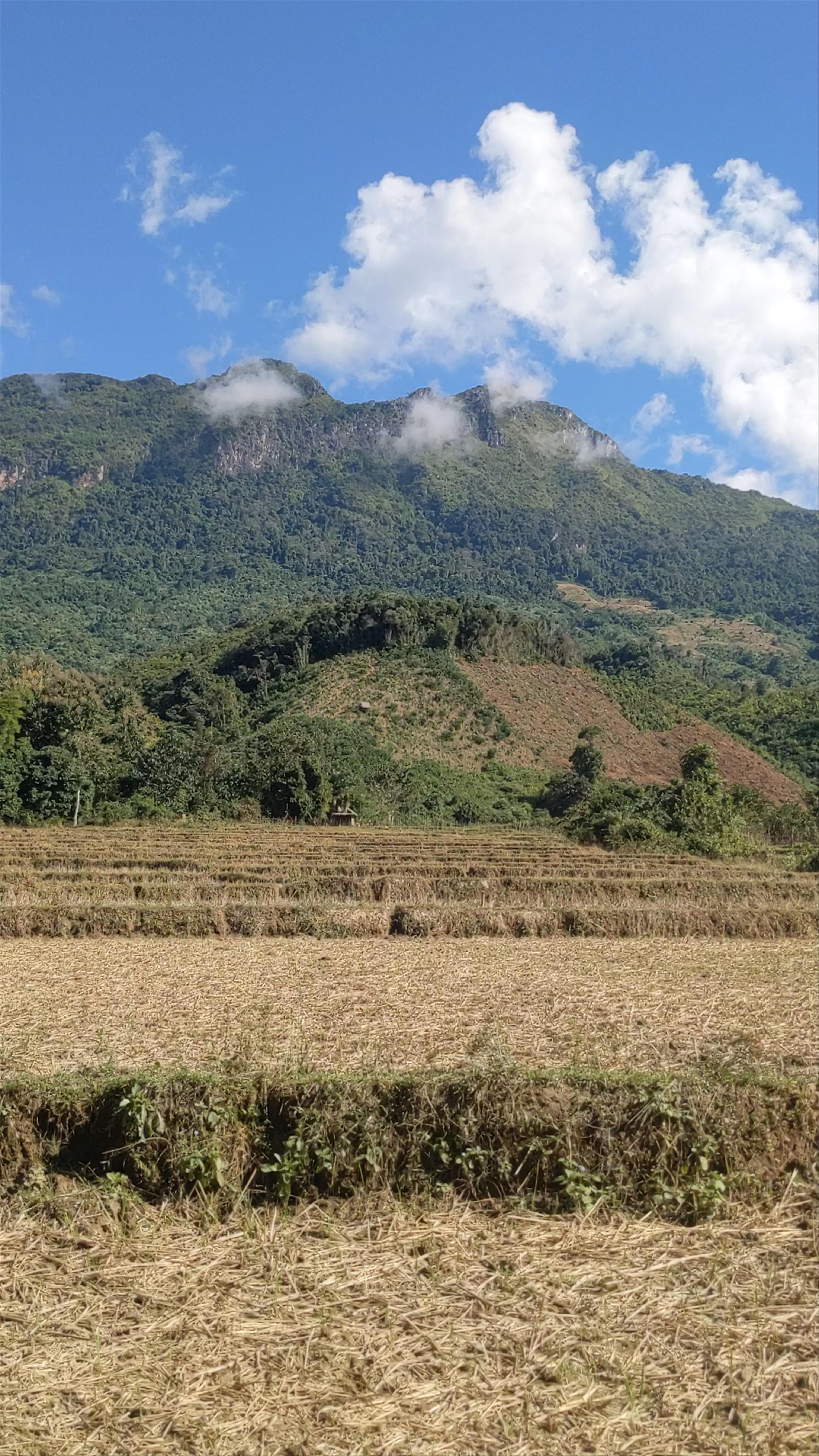 Nong Khiaw Adventure Tours: Majestic Mountain Views and Serene Paddy Fields in Laos