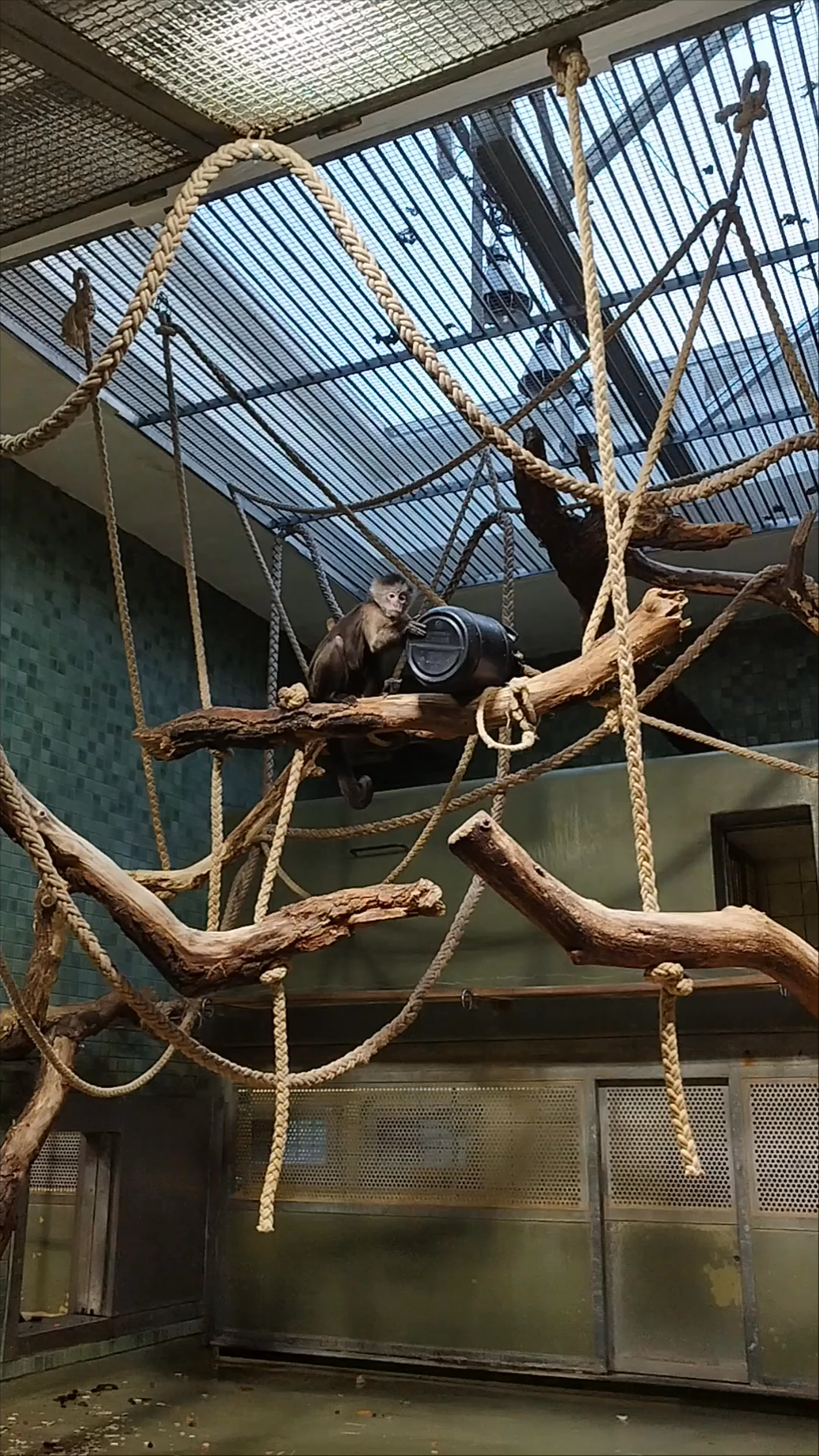 Zoo Berlin