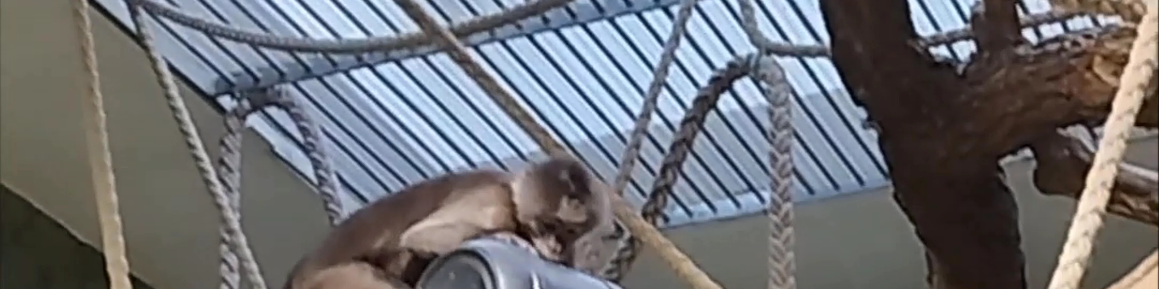 Zoo Berlin