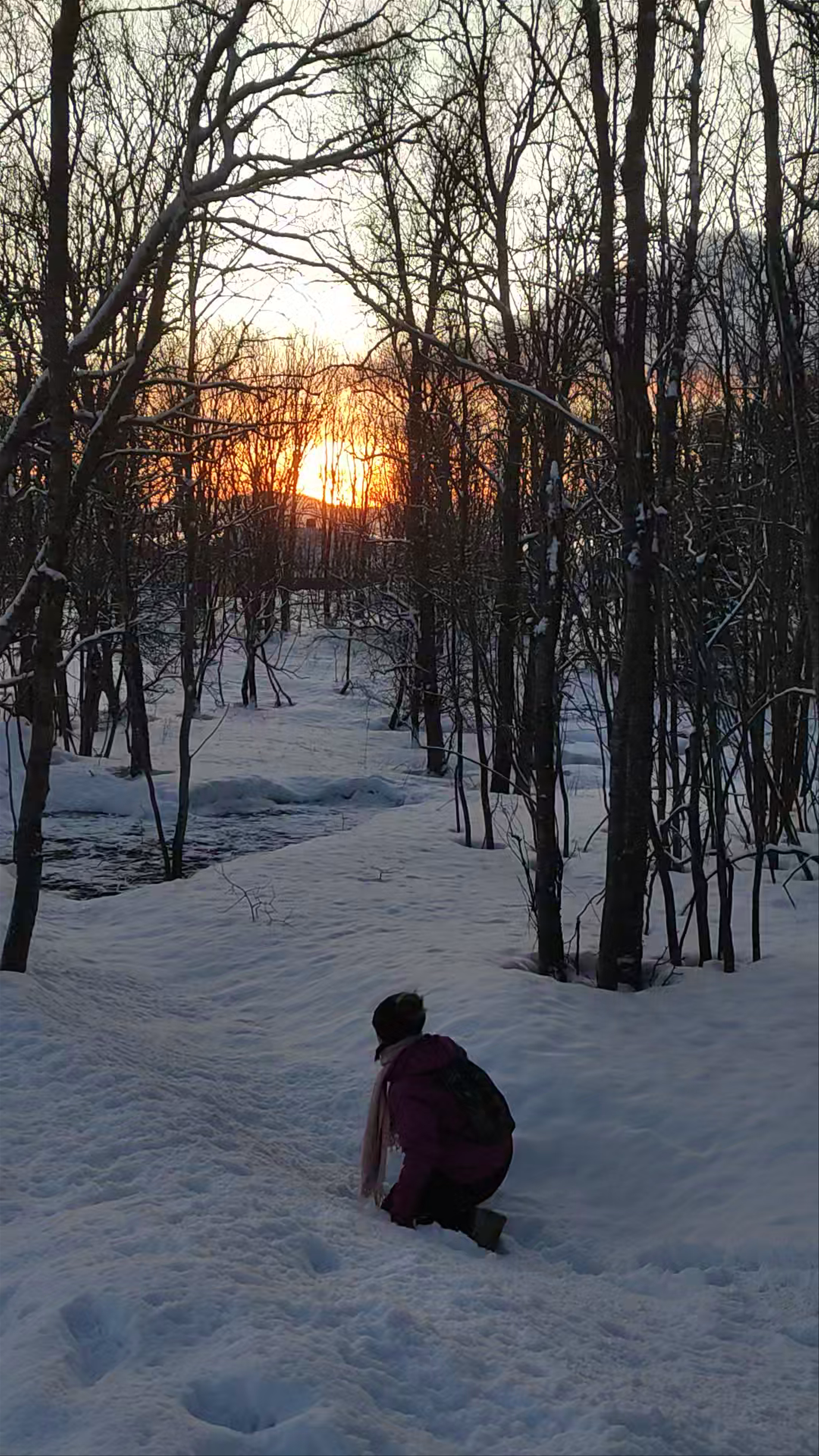 Wintry Sunset Walk at Telegrafbukta Treningpark, Tromsø