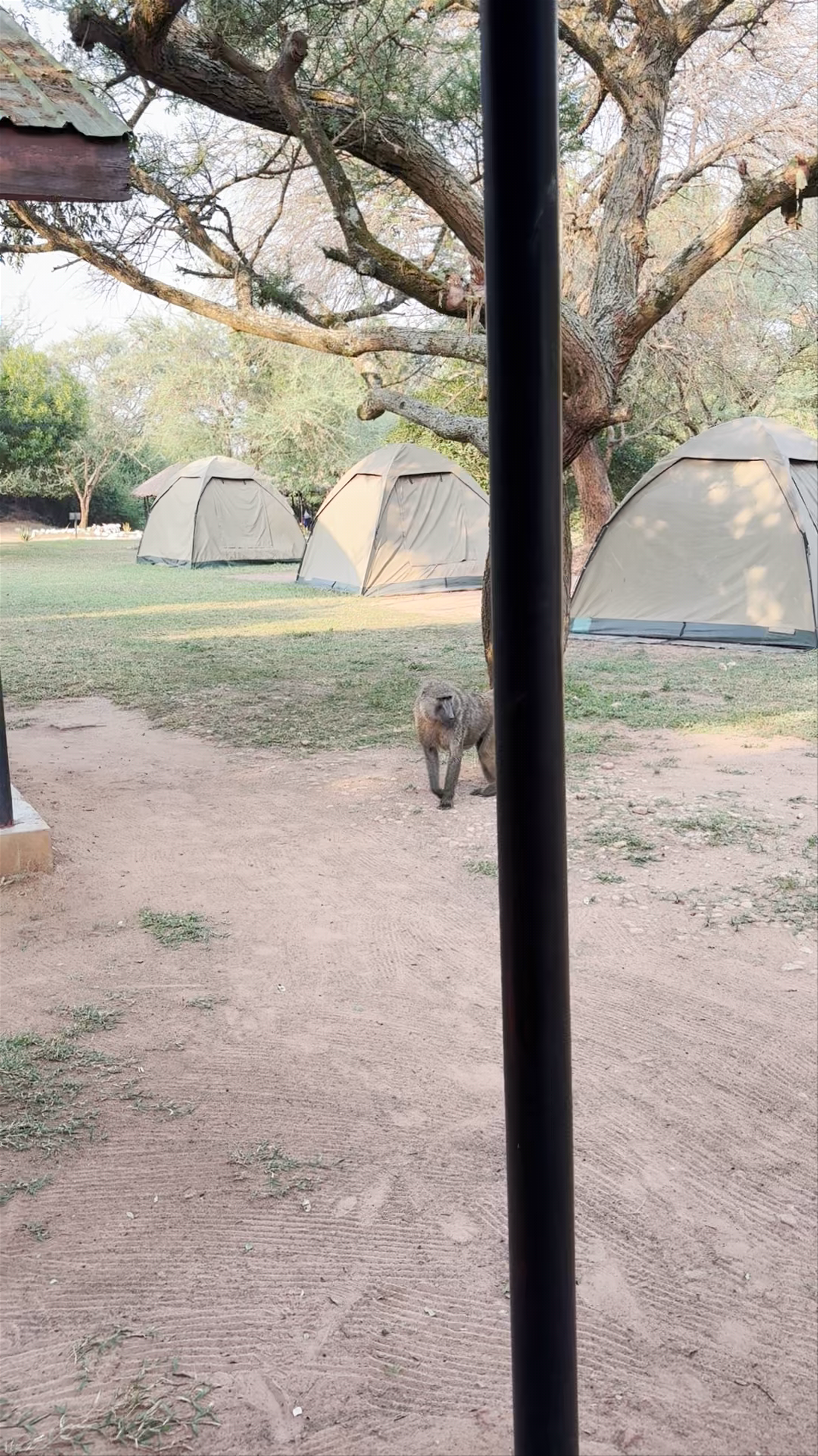 Red Chilli Rest Camp