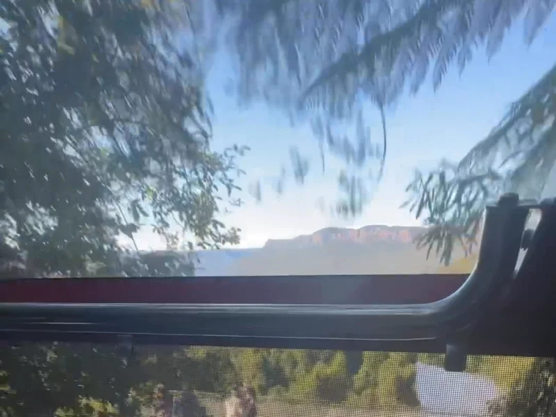 Scenic world review