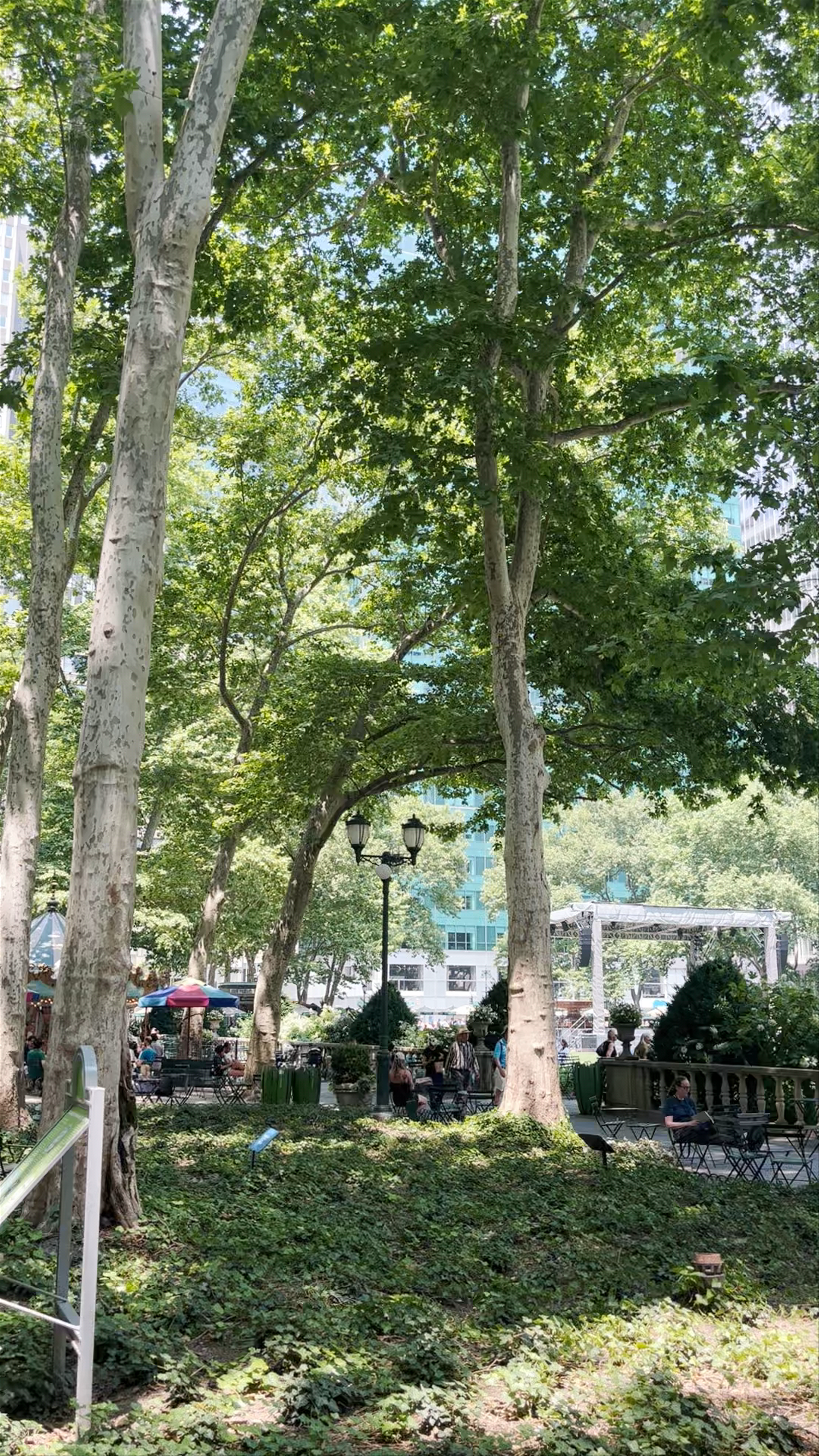 Bryant Park: The Urban Oasis in the Heart of New York City