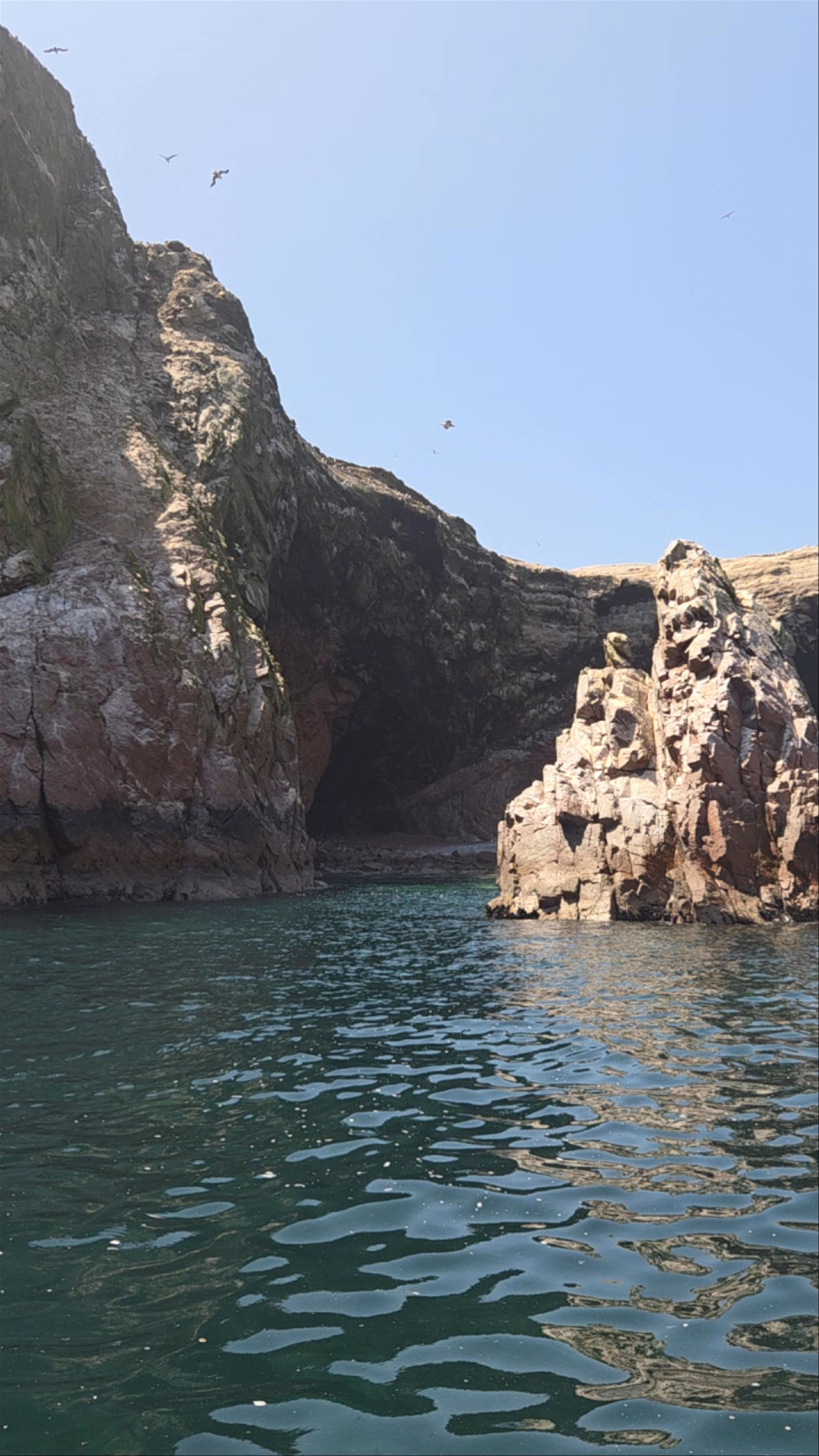Isla ballestas