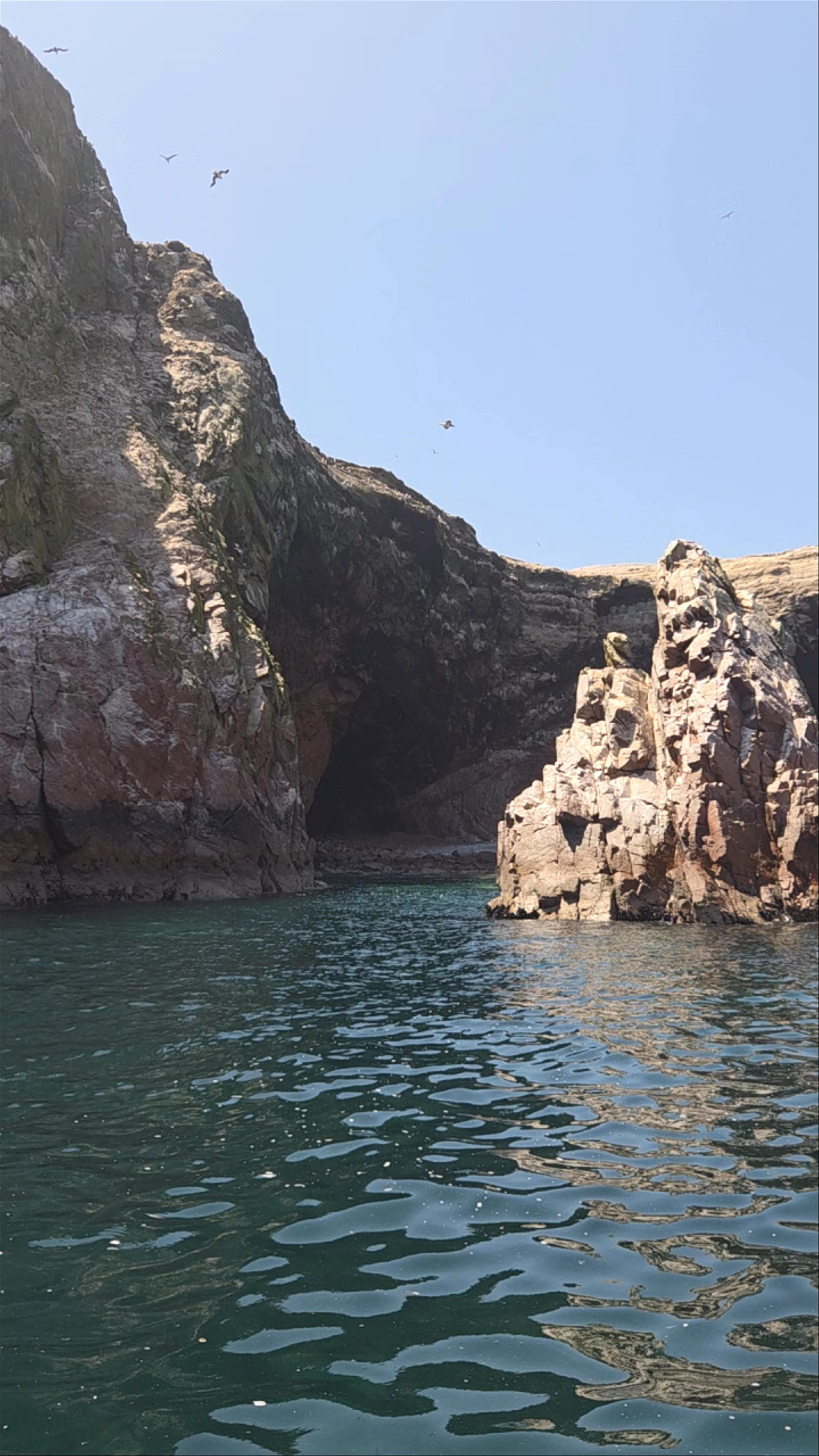Isla Ballestas