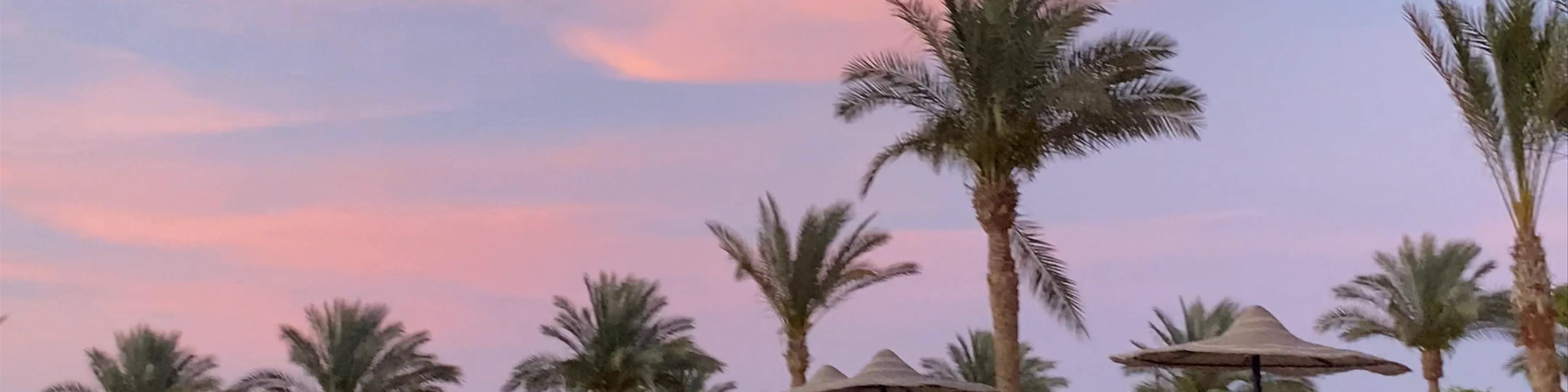 Elphistone resort