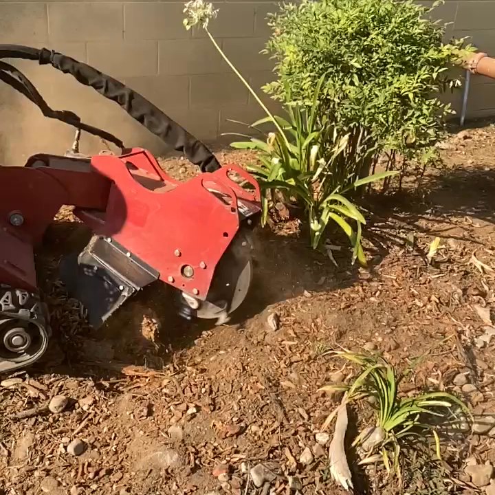 The Garden - Stump grinding - Tree Services Near Me
