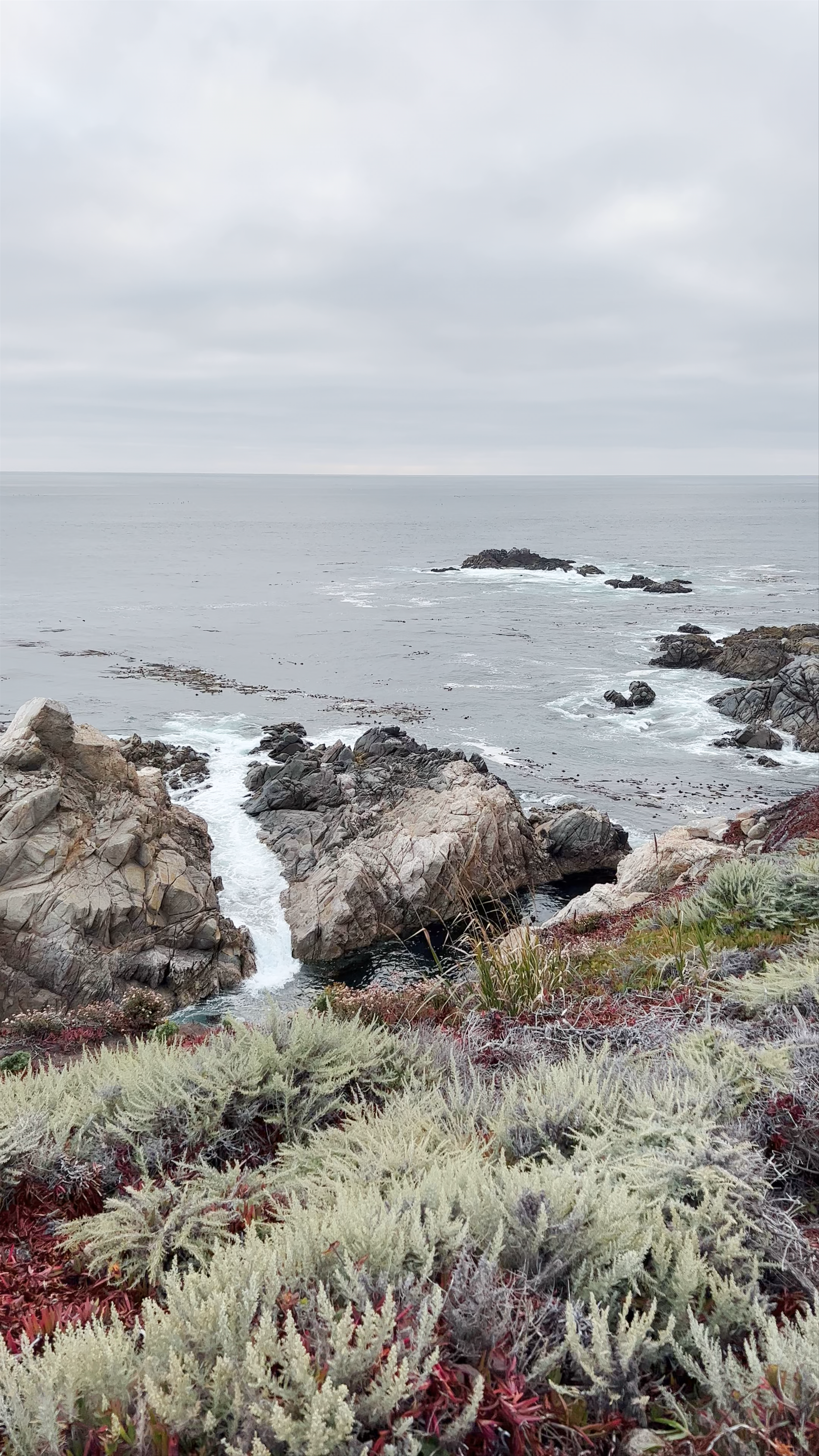 The California Sea Otter State Game Refuge