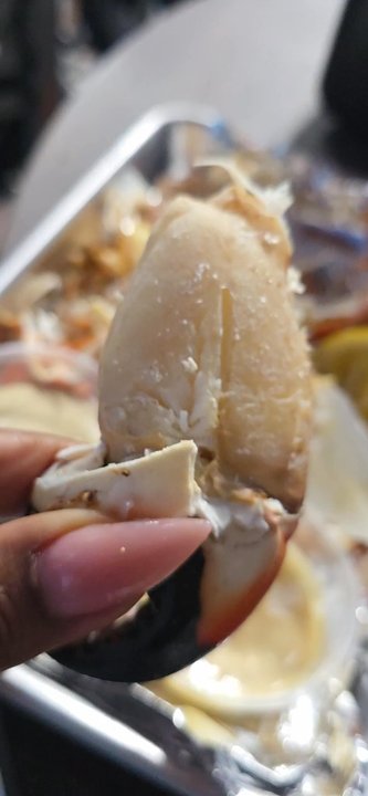 Safe Harbor Seafood - Seafood Near Me - Jacksonville, Florida