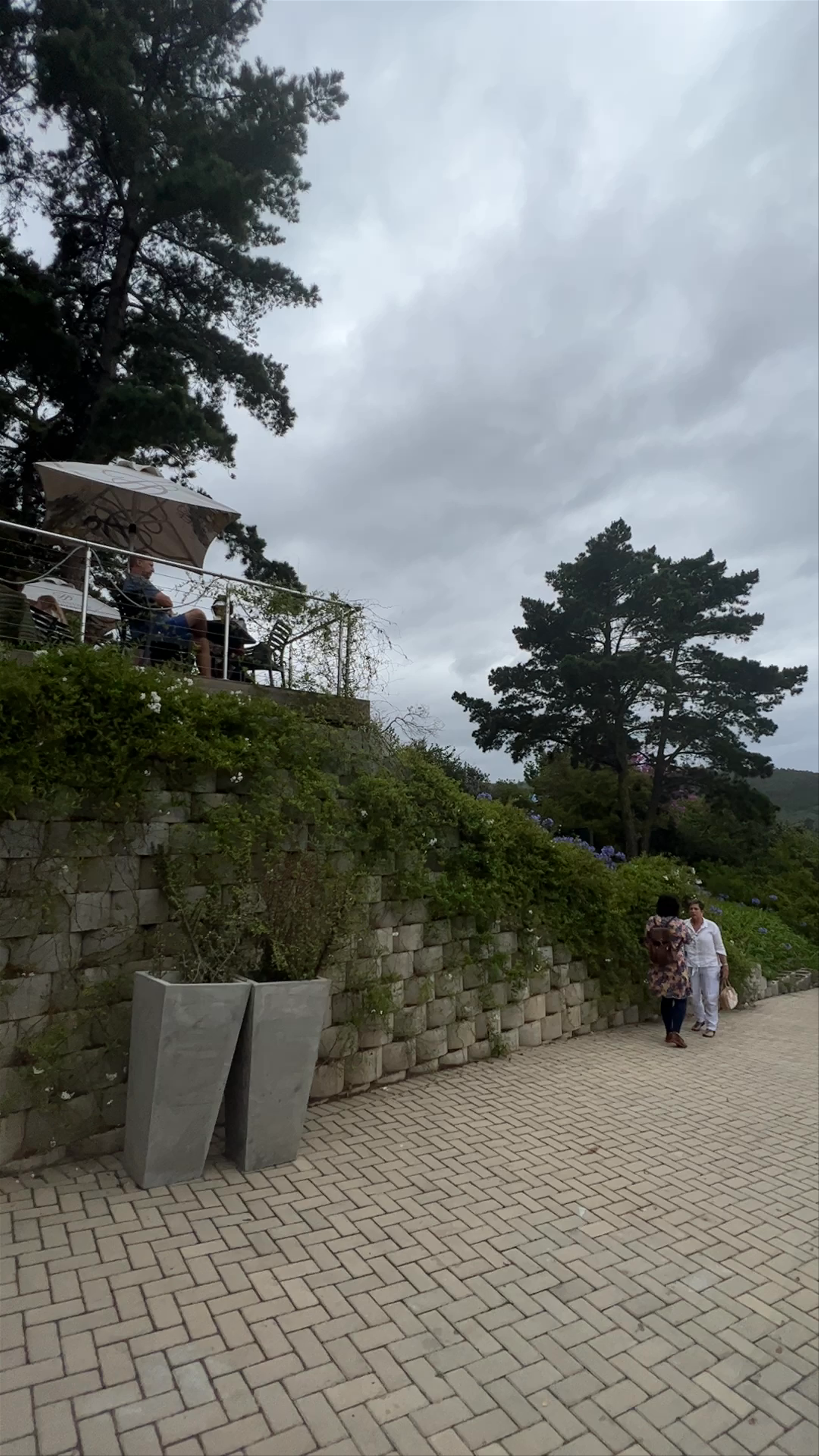 TWIN TREES WAFFLE HOUSE