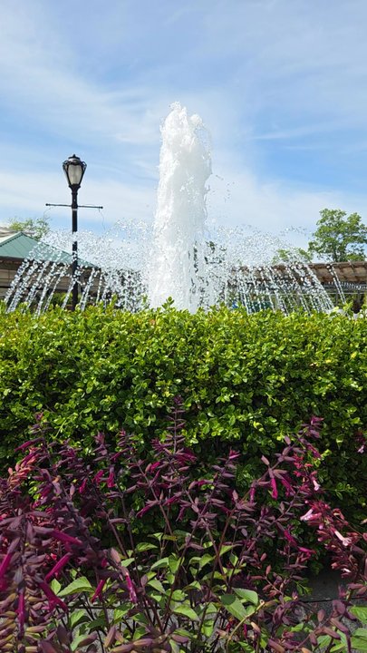 Hicks Nurseries - Fountain in the nursery - Nurseries & Gardening Near Me - Westbury, New York