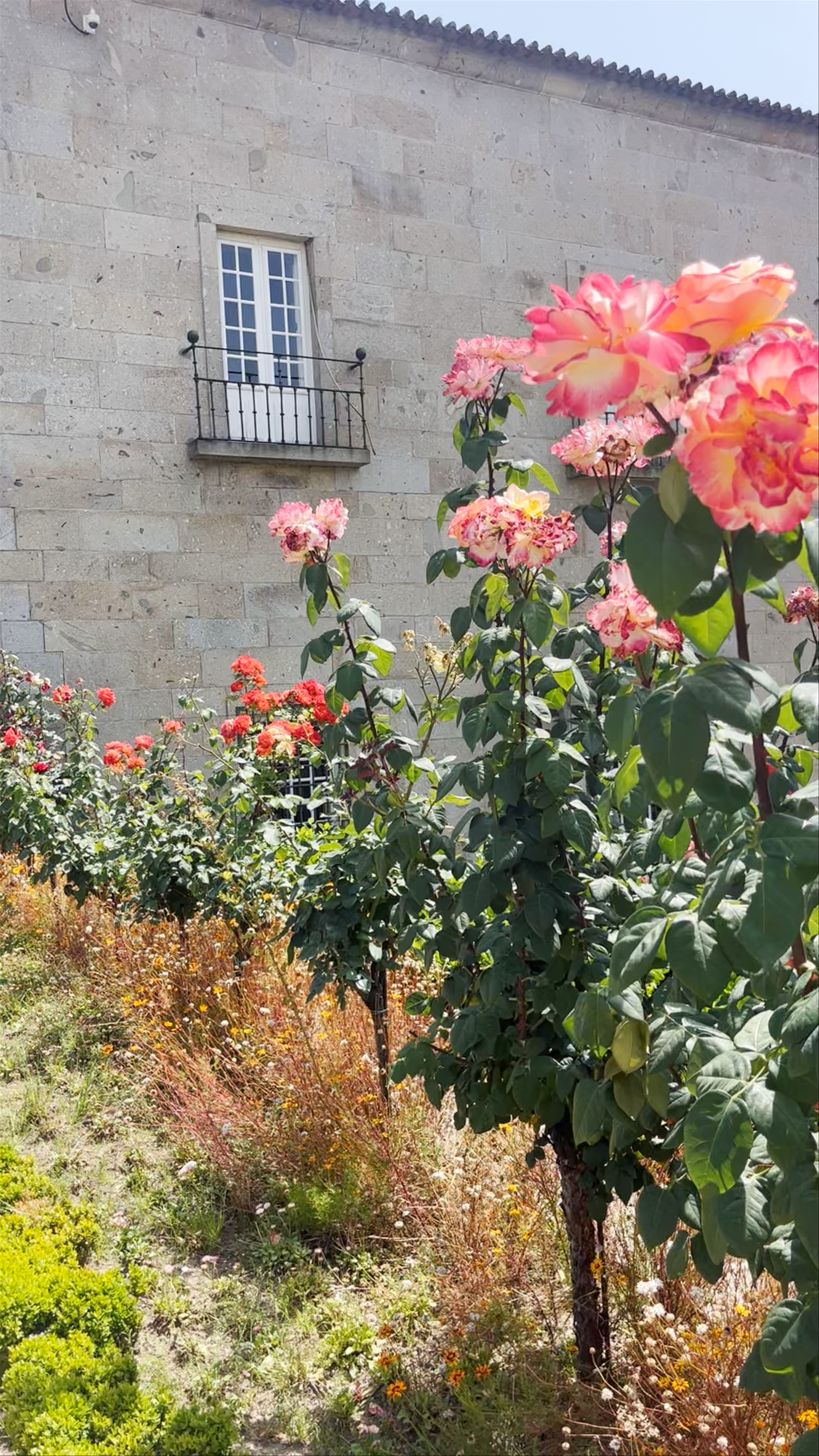 Jardim de Santa Bárbara: Tranquil Floral Beauty in Braga, Portugal