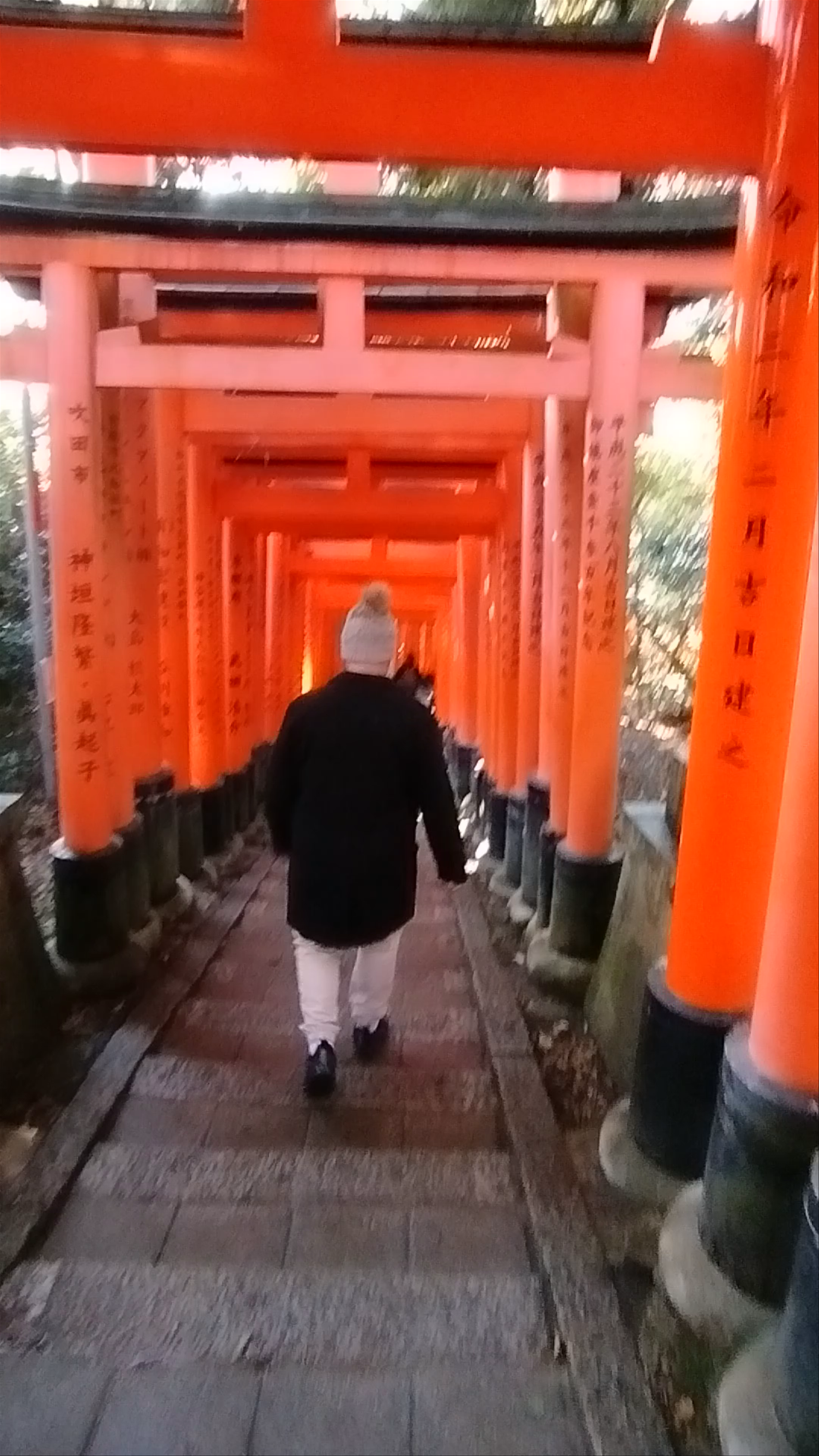 Fushimi Inari Shrine: Walking Through the Thousand Torii Gates in Kyoto