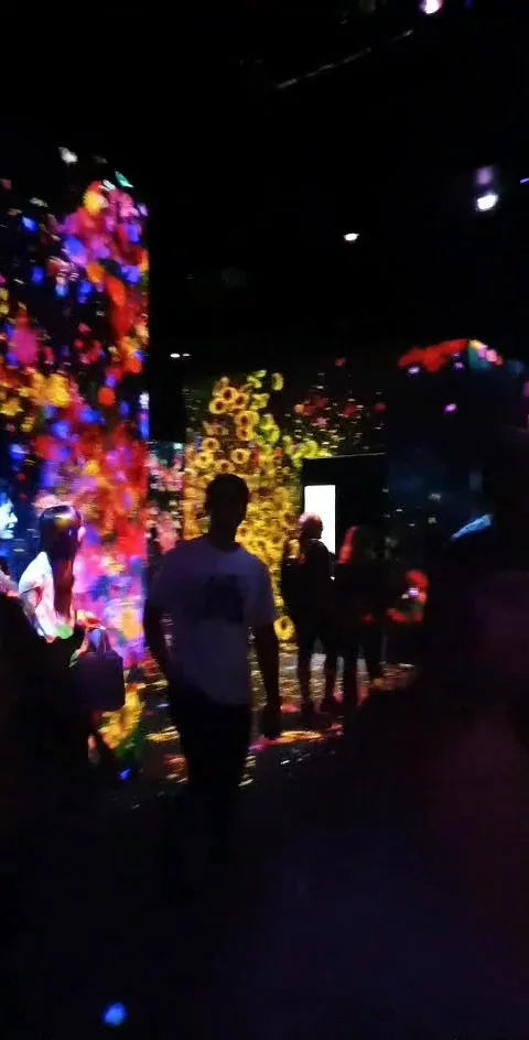 teamLab Borderless