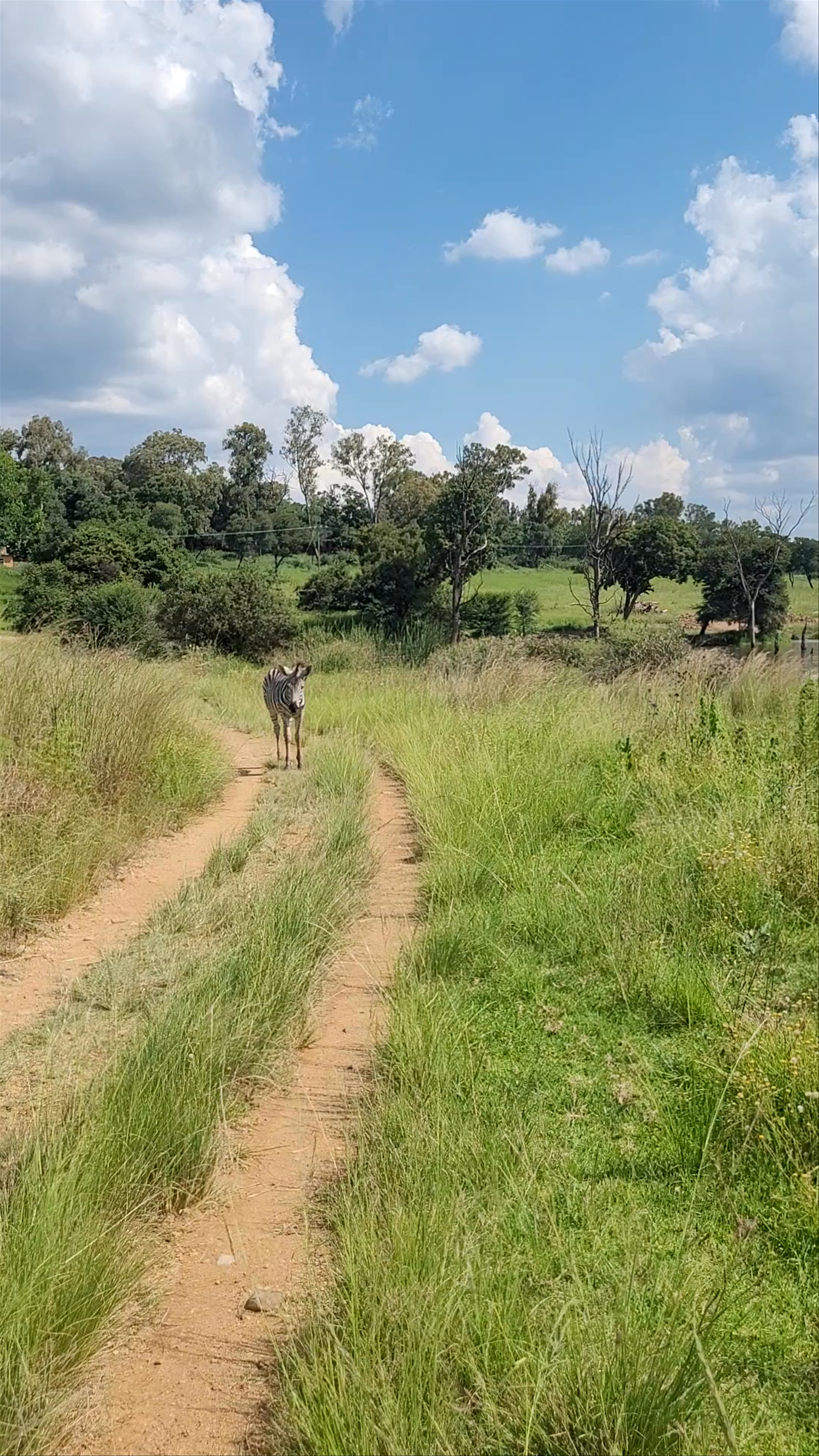 Cradle Moon Lakeside Game Lodge