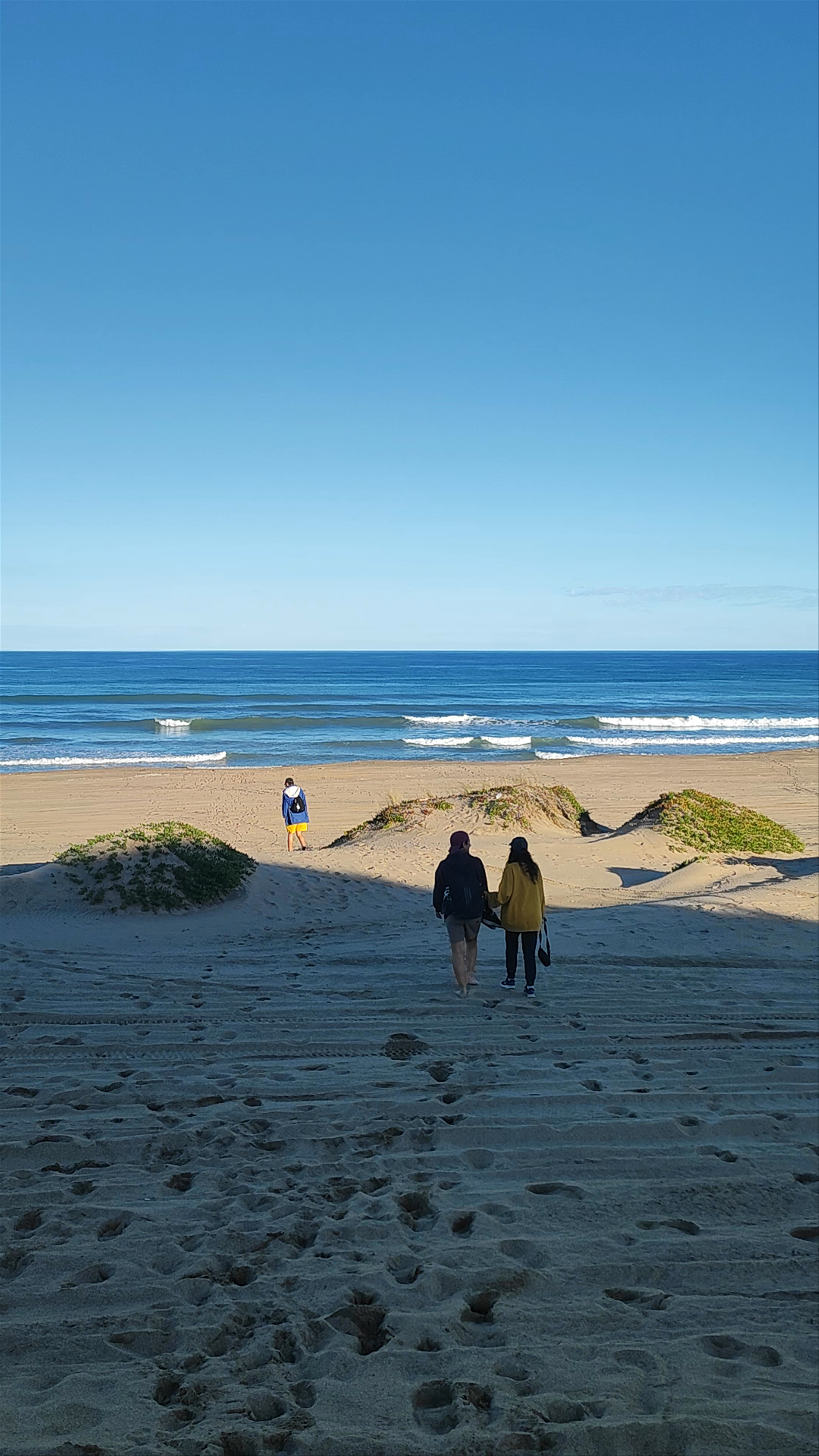 Playa miramar vivero