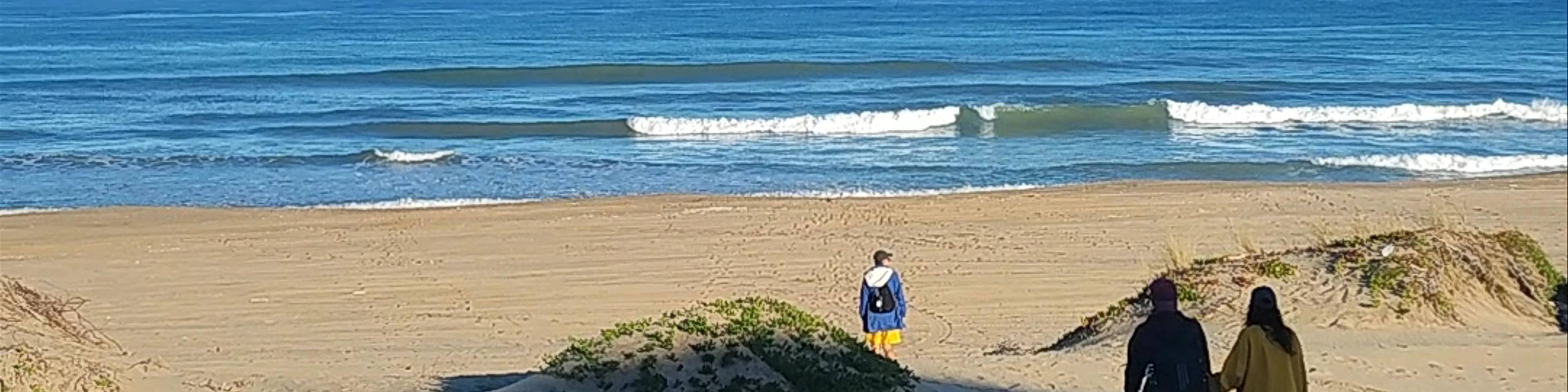 Playa miramar vivero