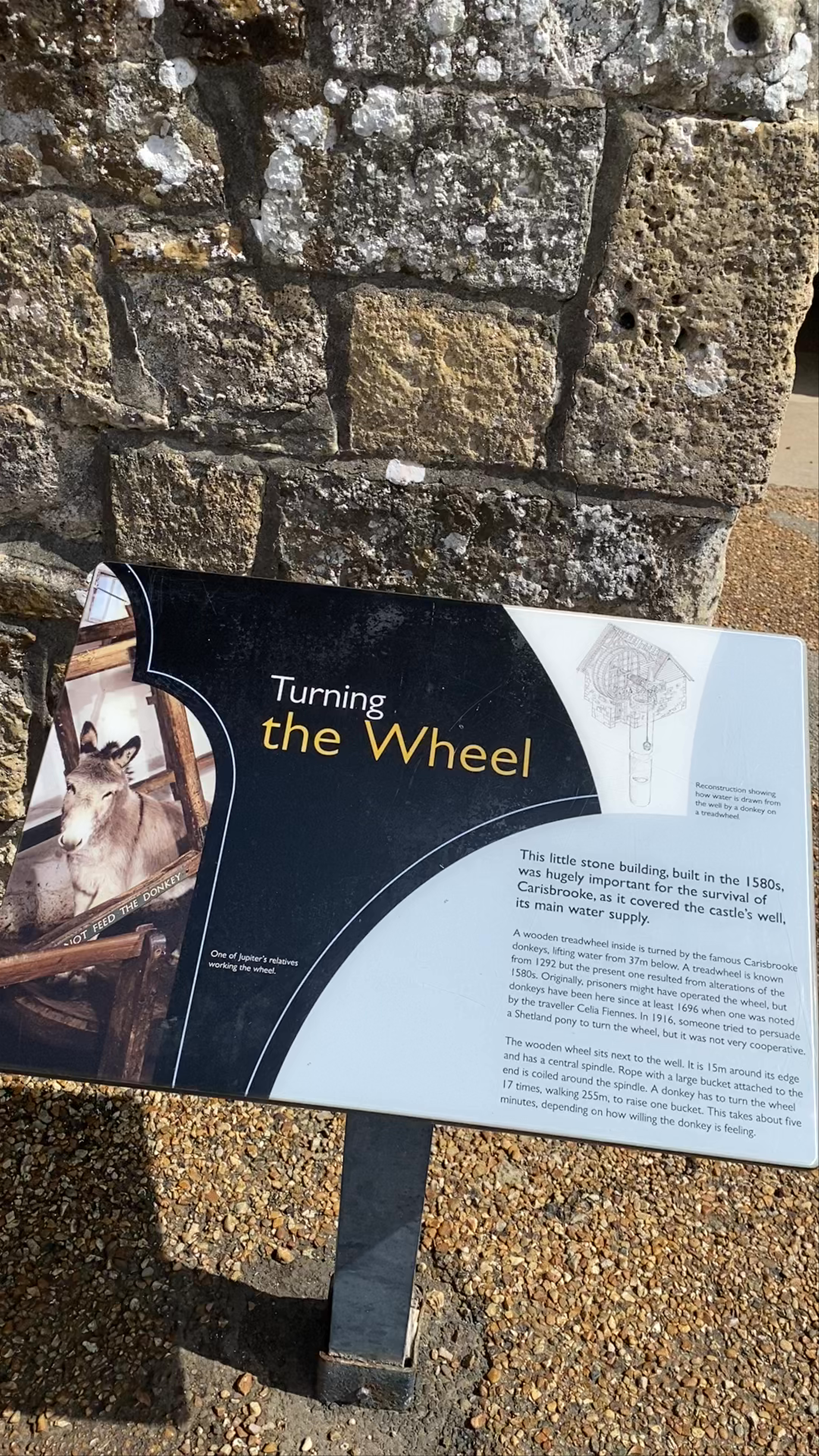 Carisbrooke Castle: Historic Medieval Fortress in Newport, UK