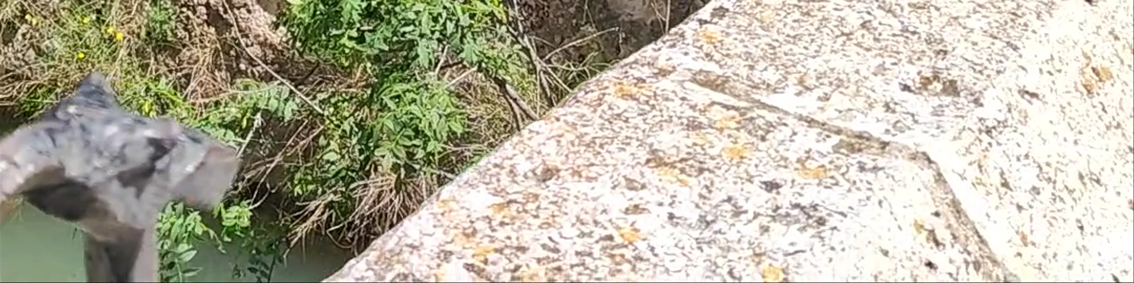 Puente Romano