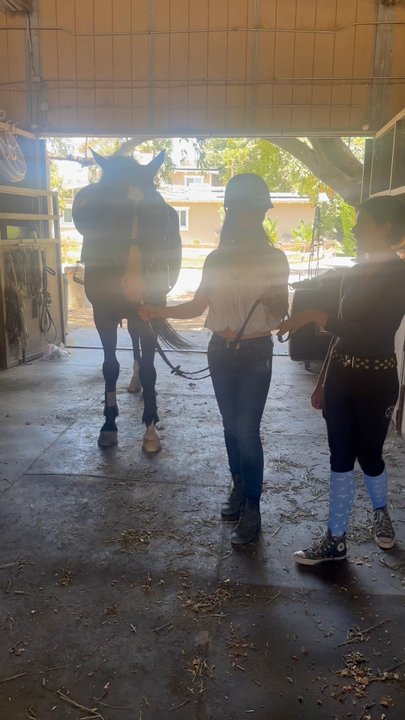 Bridges Equestrian - Henry and I - Horseback Riding Near Me - San Juan Capistrano, California