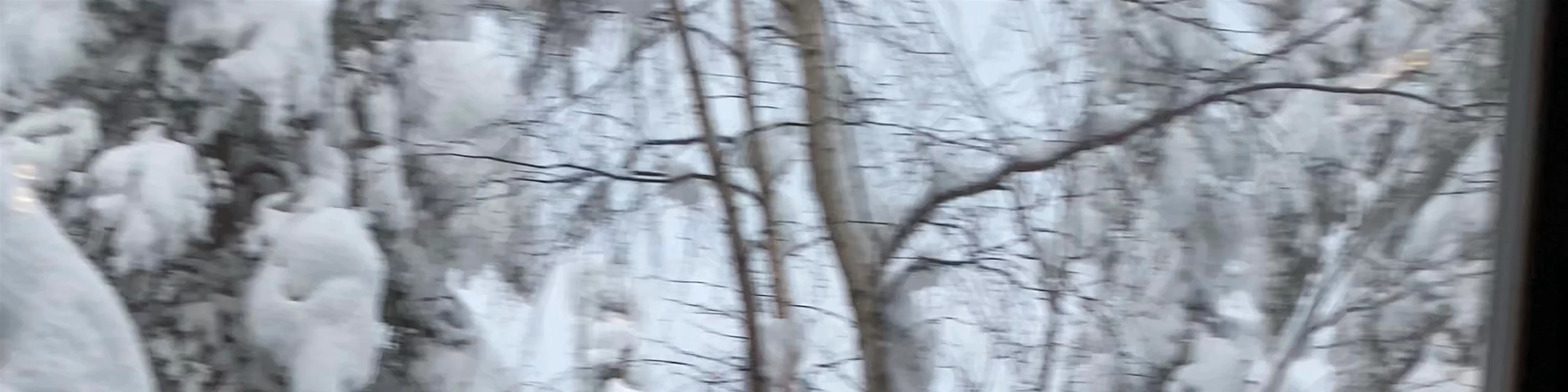 Finland