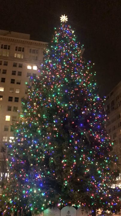 Pioneer Courthouse Square - Parks Near Me - Portland, Oregon