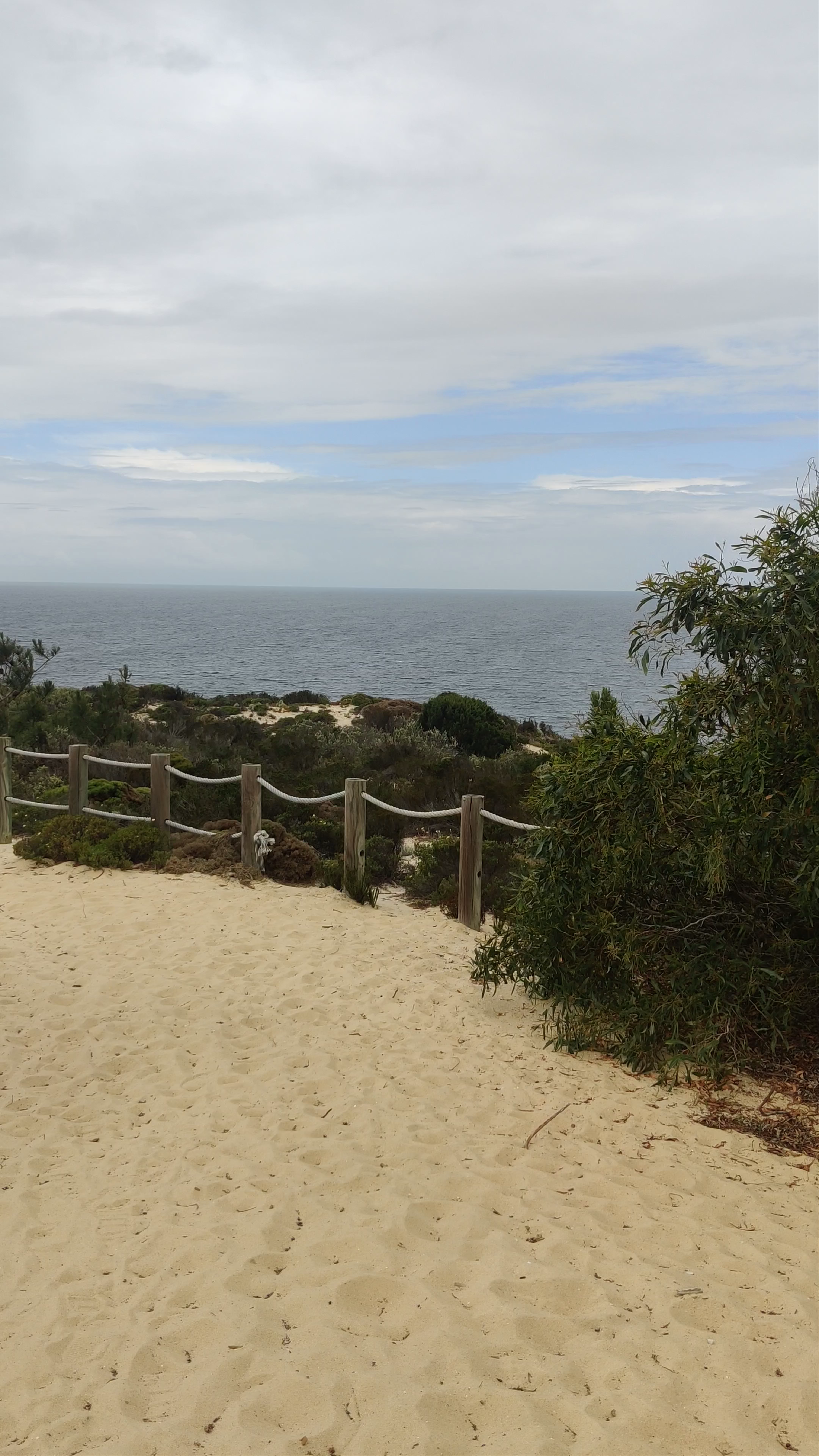 Arriba Fóssil da Galé