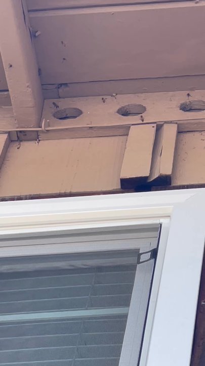 Keen Pest Control - Pest Control Near Me - Montebello, California