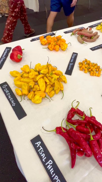 Heirloom Exposition - So. Many. Peppers! :-o - Festivals Near Me - Ventura, California