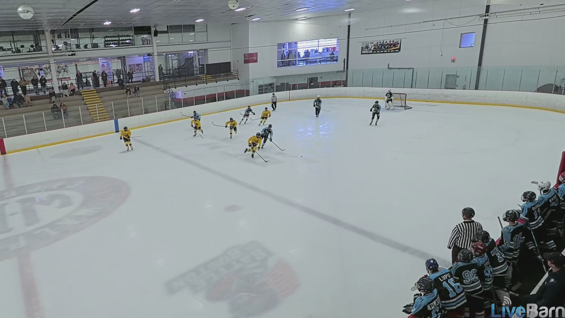 Brian Kirkpatrick GOAL 2012 STEEL - Blue Chip