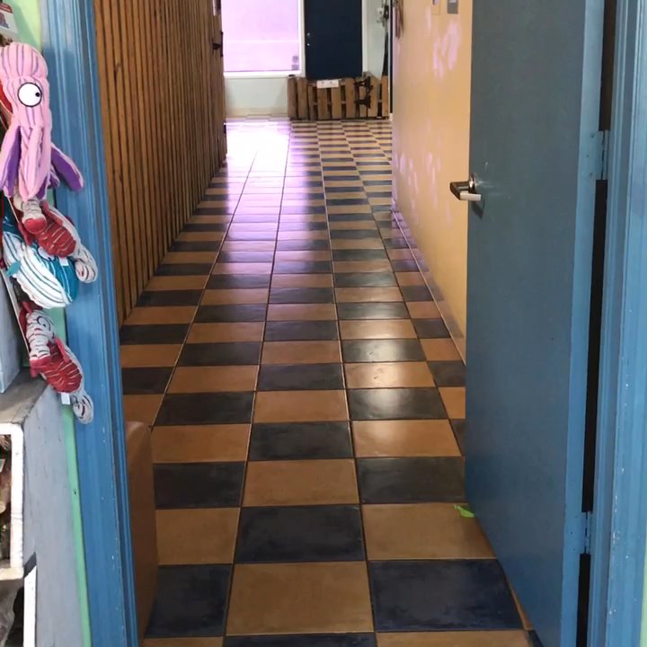 Petlover Central - Picking up my happy puppy after daycare always looks like this! - Pet Groomers Near Me - Boca Raton, Florida