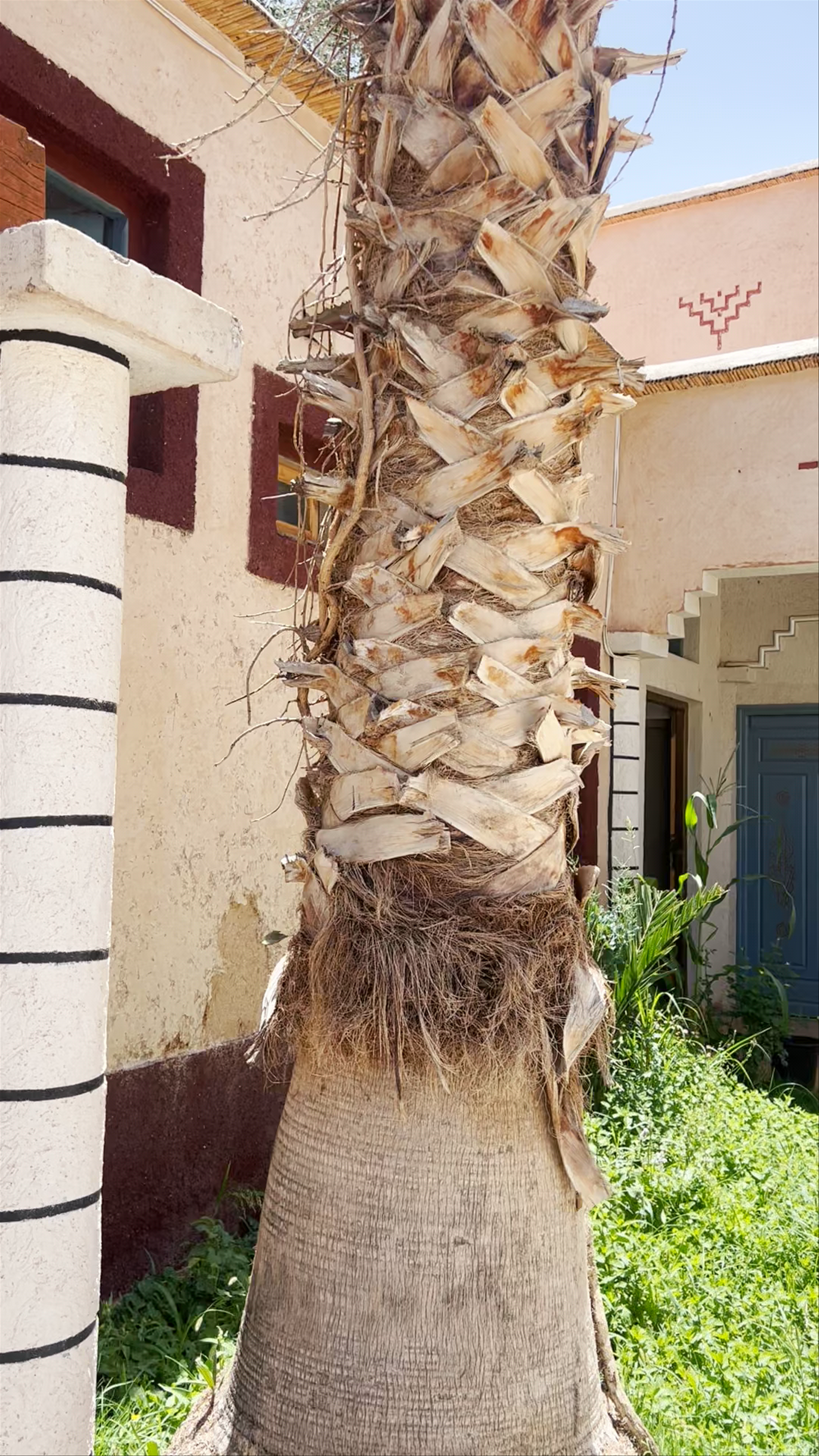 Hotel Rosa Damaskina