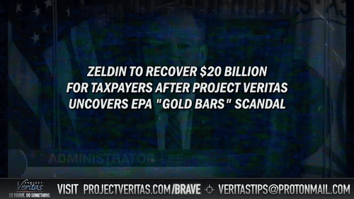 Video Thumbnail Loop