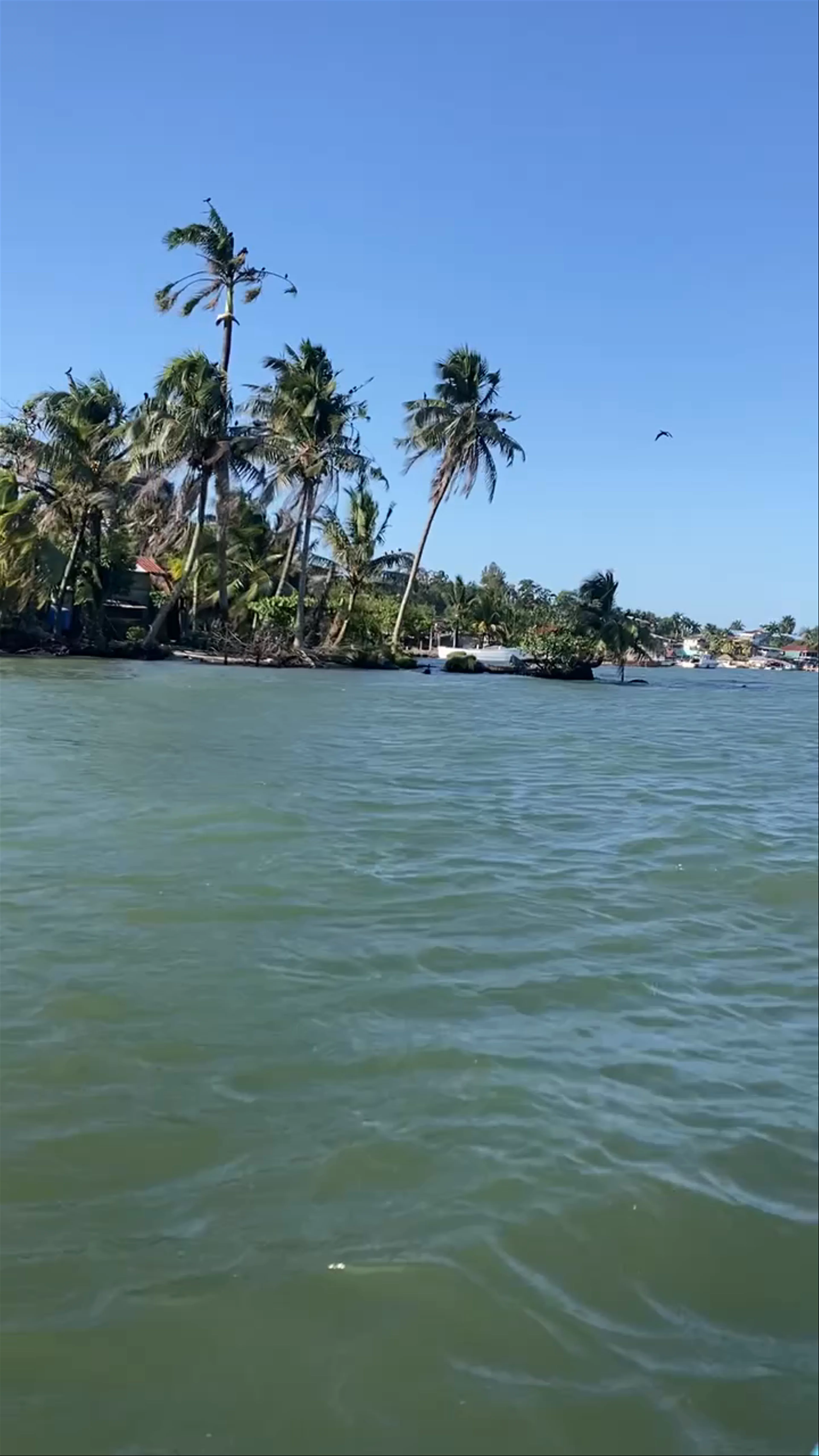 Puerto Barrios