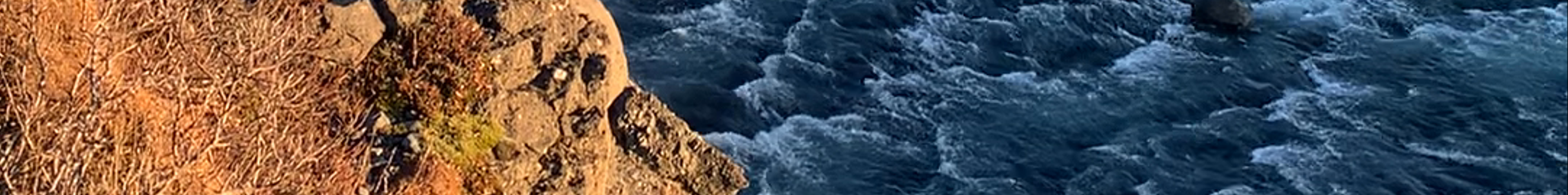Tours & experiences in Flúðir