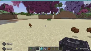 Clear And Add Blocks - media 2