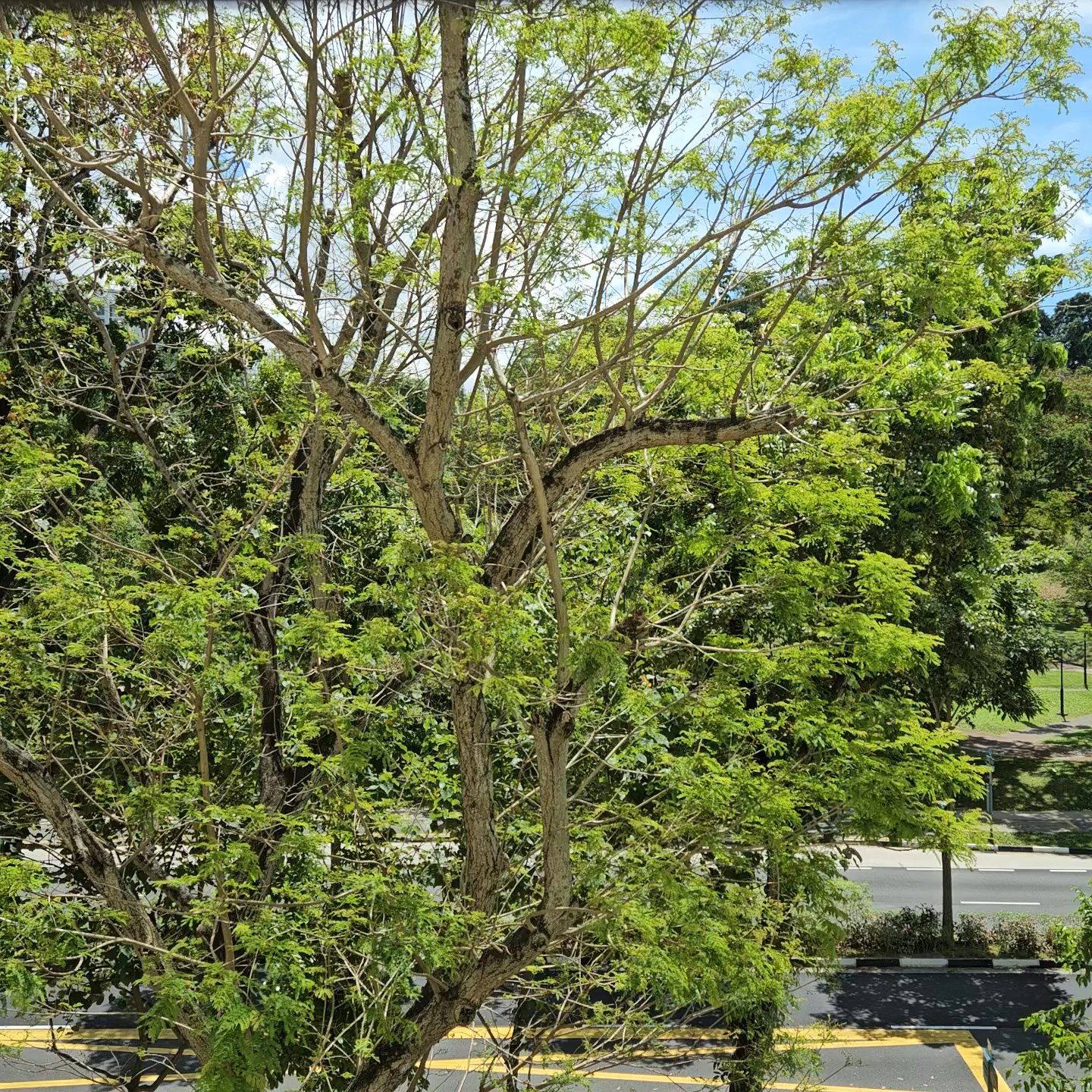 2 Bed Condo for Sale in  West Bay Condominium - Image 8