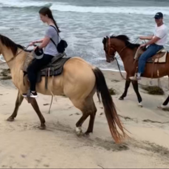 Blanco Brothers Ranch - Great time on the beach - Horseback Riding Near Me - San Diego, California