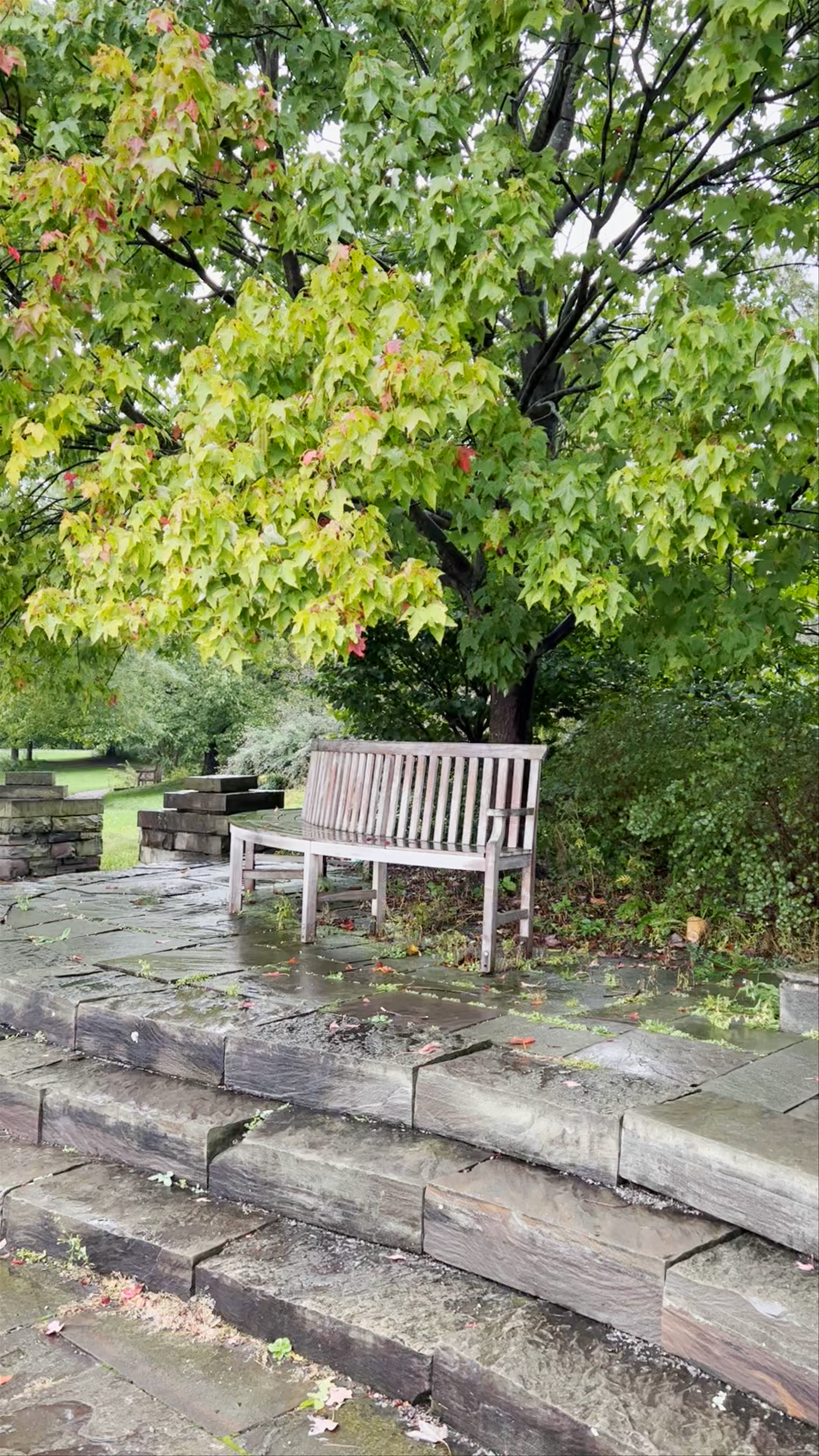 Cornell Arboretum 