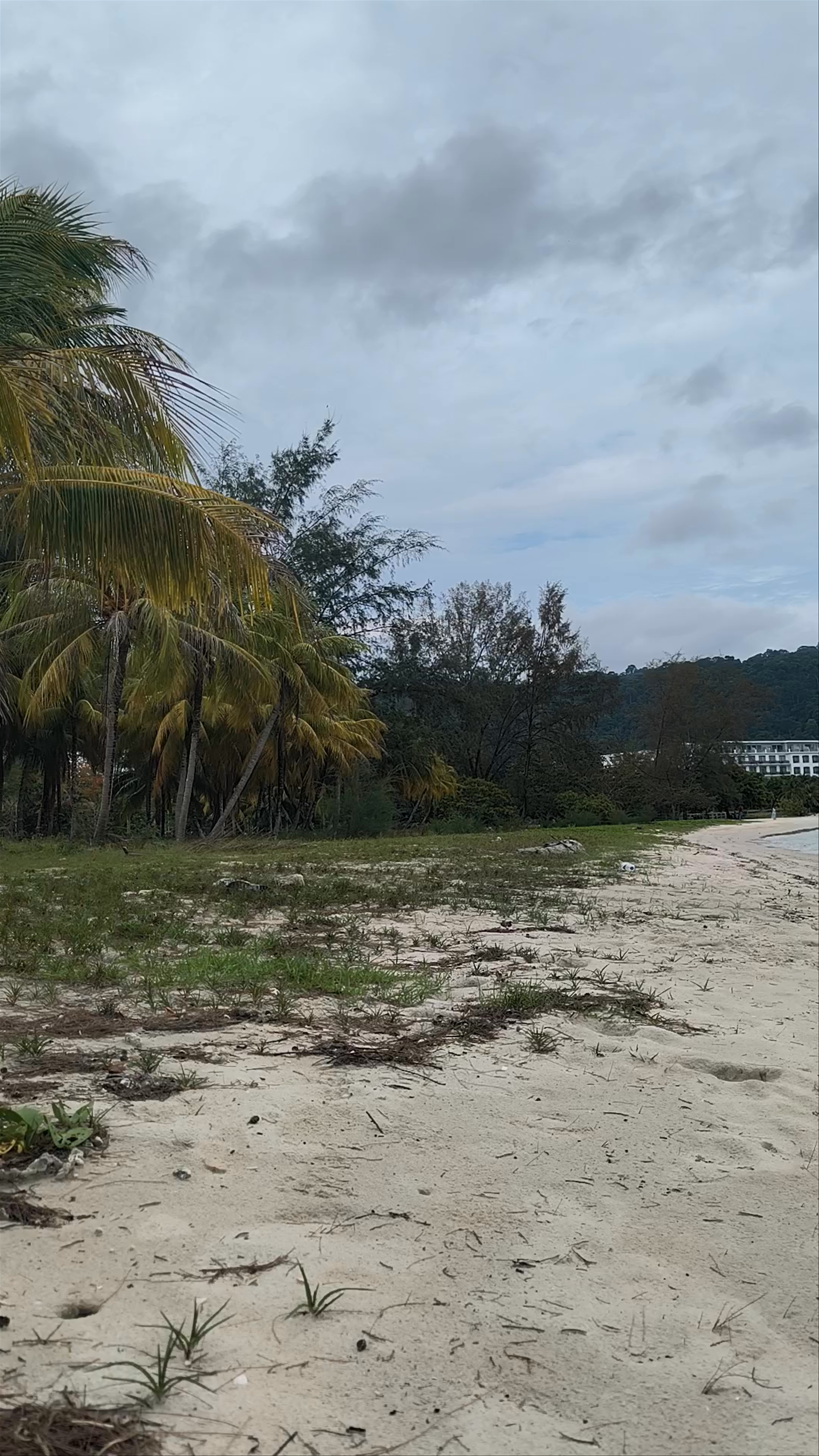 Teluk Burau