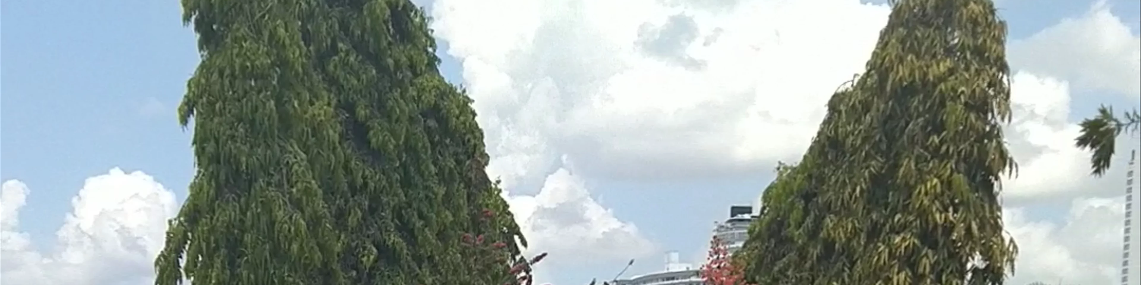 Plaza V Centenario