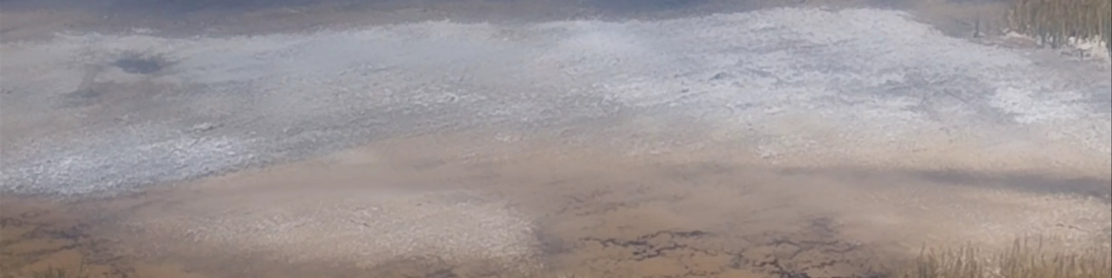 Laguna Cejar