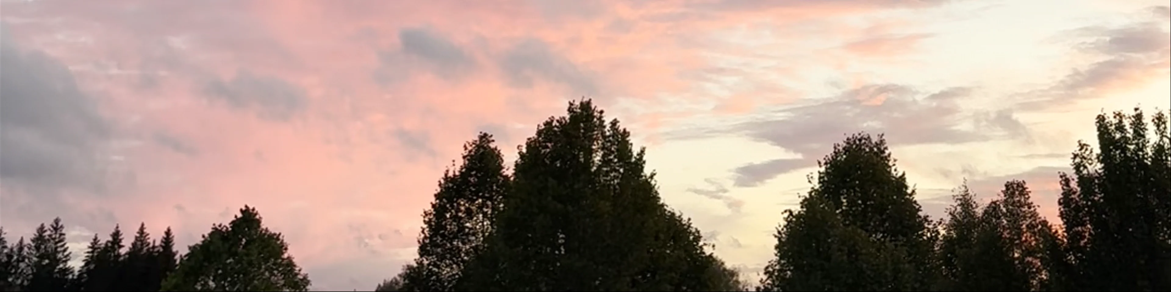 Kalsnavas arborētums