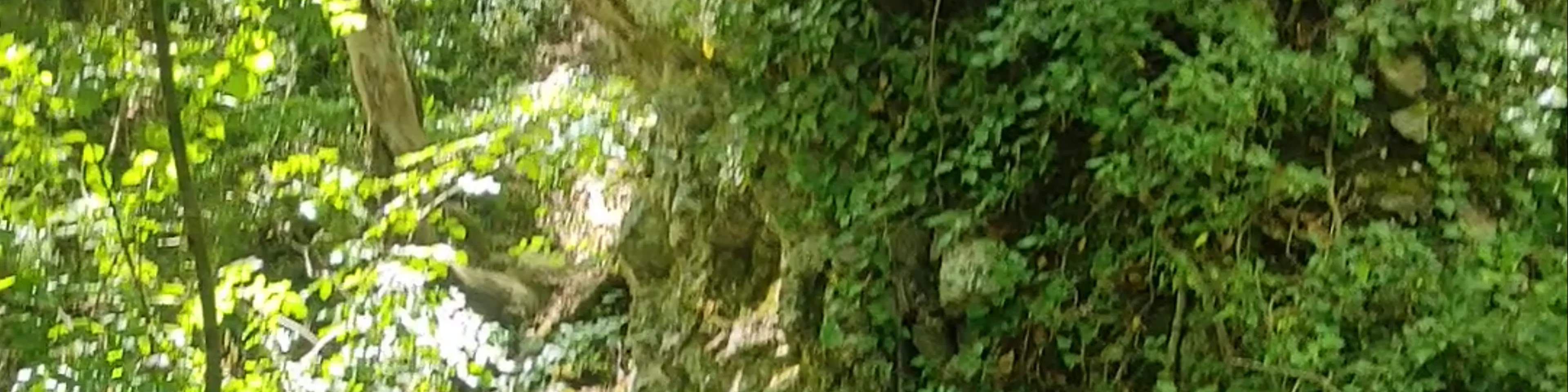 Καταρράκτες Σκρα