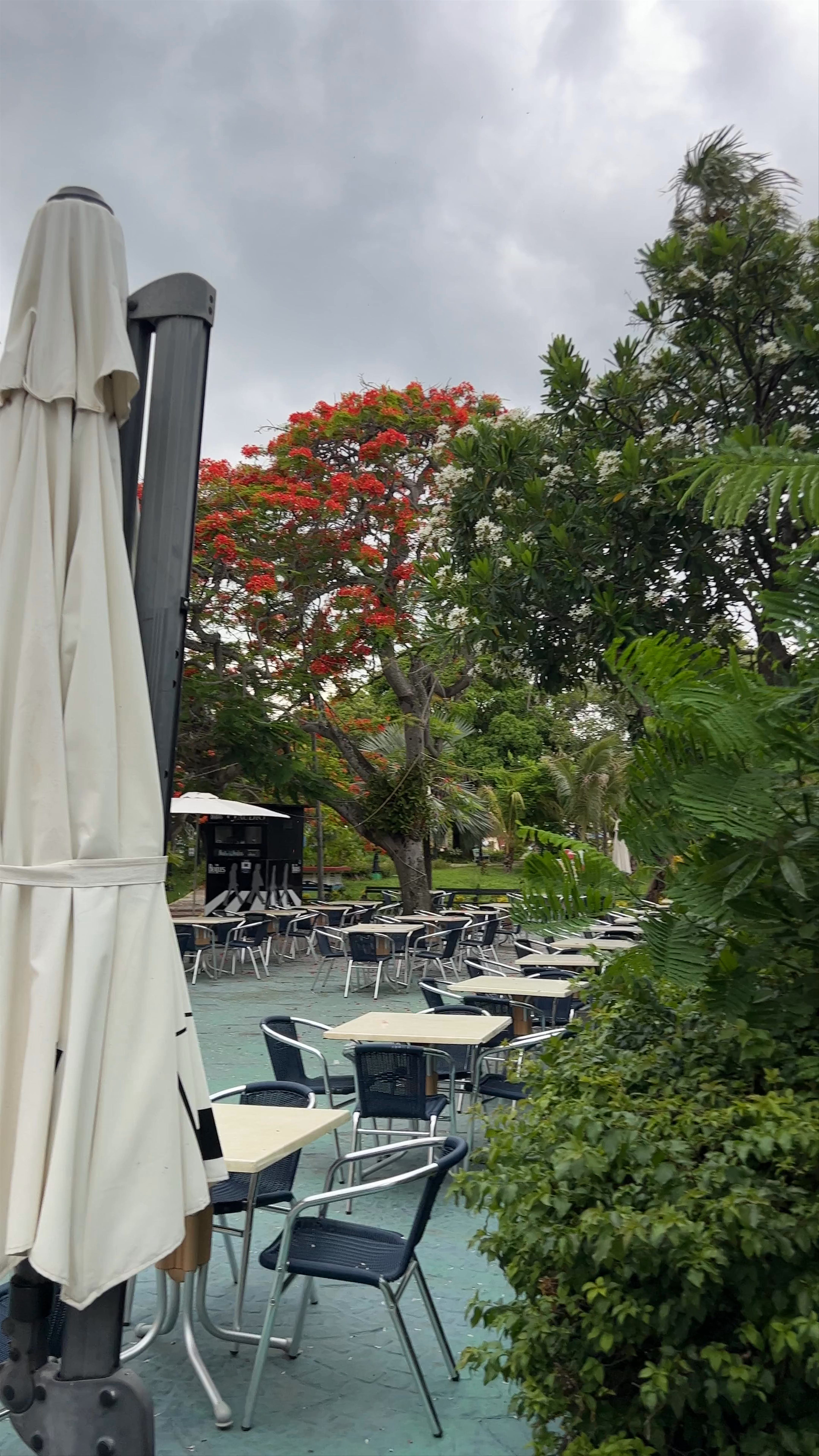 The Beatles Live Music Bar and Grill