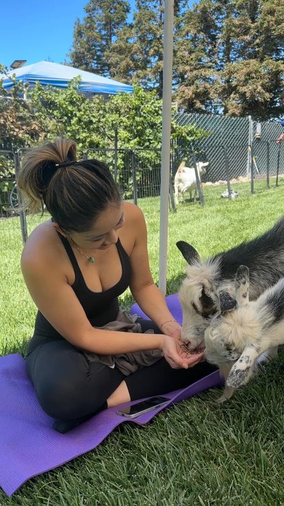 Goat Pose Yoga - Yoga Near Me