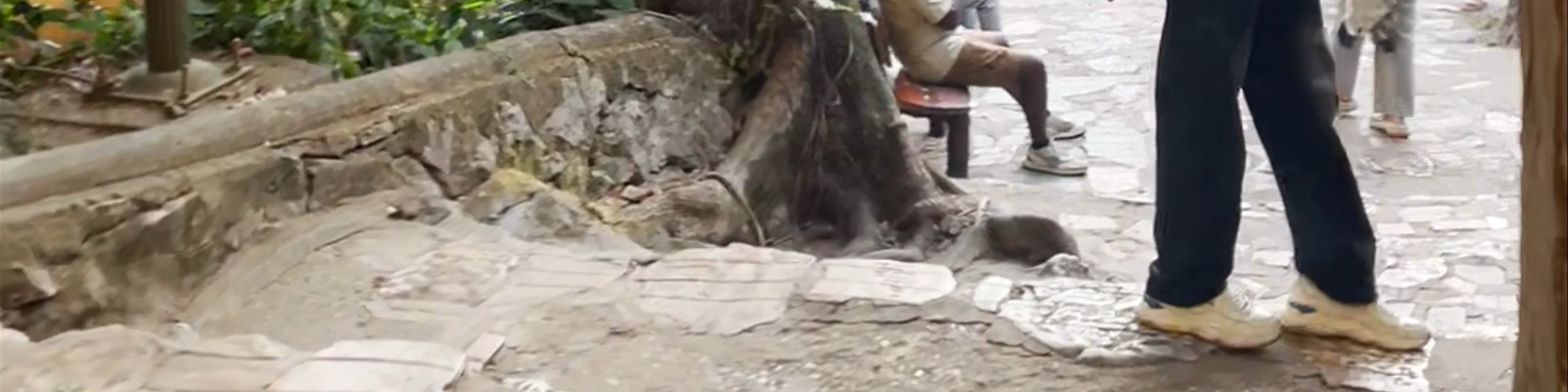 Đài Vọng Giang